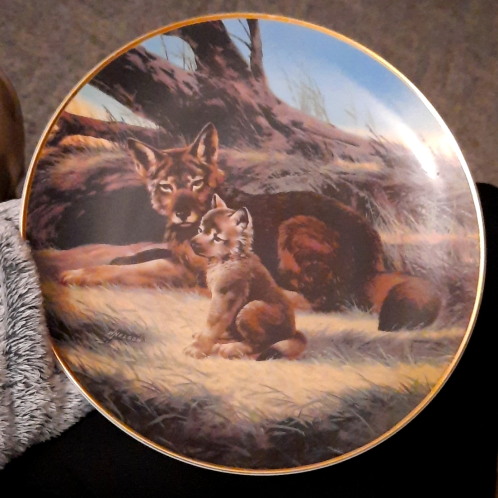 Will Nelson collector's Plate